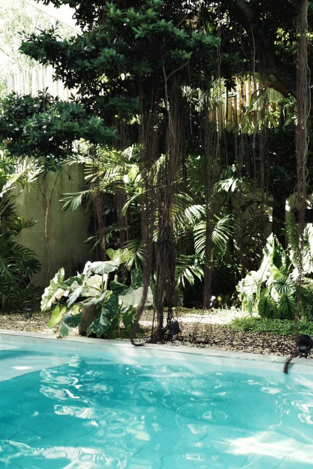 Banyan Villa Panglao With Private Pool Kültér fotó